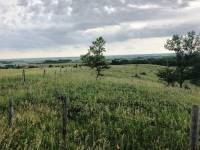 Canyon Ranch Trail Rides