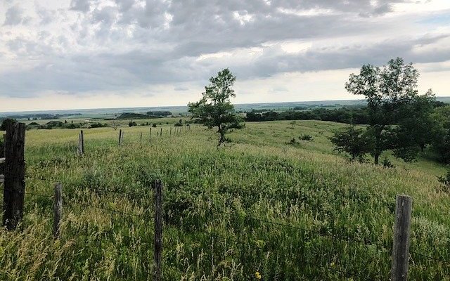 Canyon Ranch Trail Rides