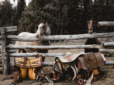 Red Horse Riding Company