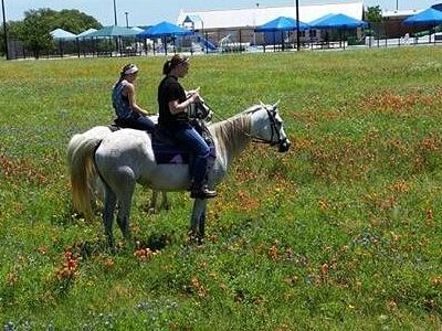 Bella Peregrina Ranch