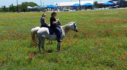 Bella Peregrina Ranch