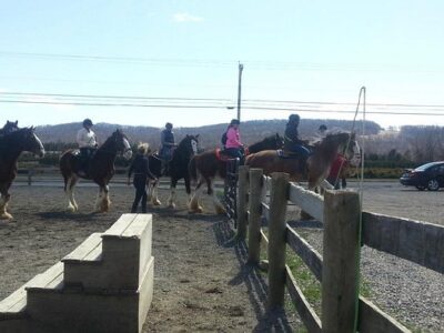 Willow Grove Farm