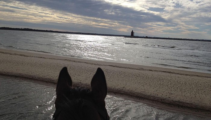 Winswept Stables