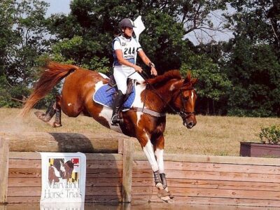 Winswept Stables