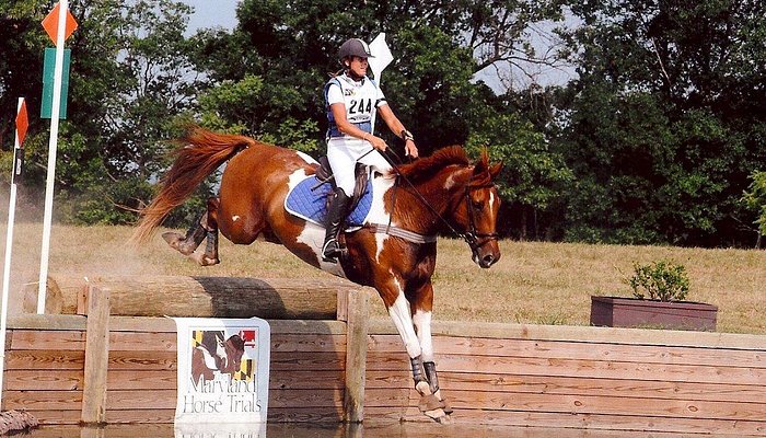 Winswept Stables