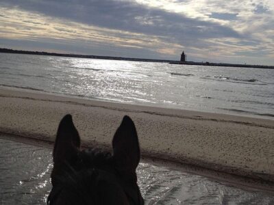 Winswept Stables