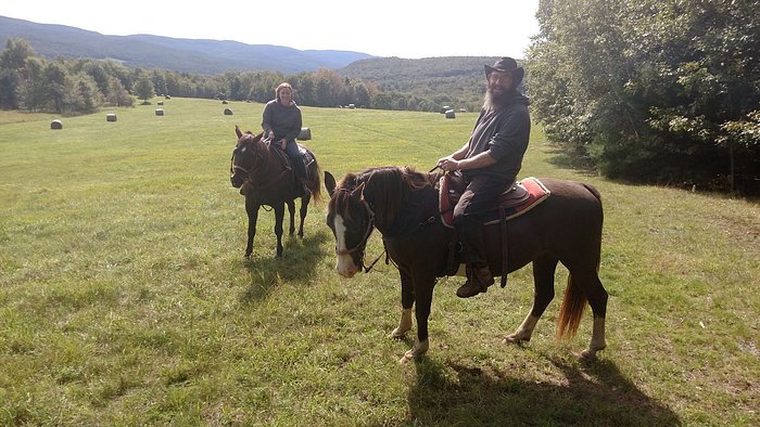 Cinch 'em UpStables