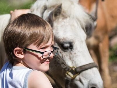 Ruggiero's Public Horseback Riding And Cabin Rentals