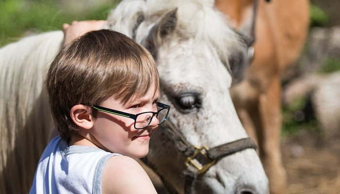 Ruggiero's Public Horseback Riding And Cabin Rentals